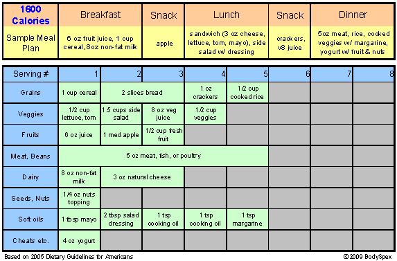 2400 Calorie Diet Planner